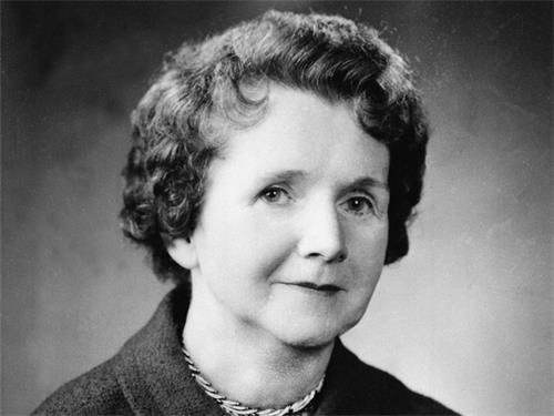 蕾切尔·卡森 rachel carson