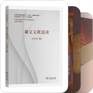 卫藏康巴安多