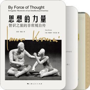 生吞活剥大部头