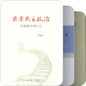 政治家的视野