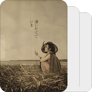 new japanese