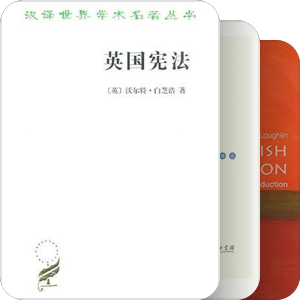 英宪精义