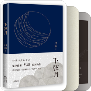 吕新小说