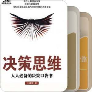 战略/咨询
