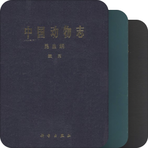 中国动物志 昆虫纲