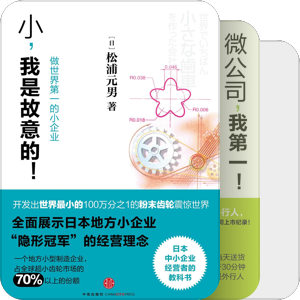 我崇拜的企业