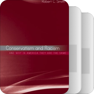 书名含有“conservatism”（2006—2010）