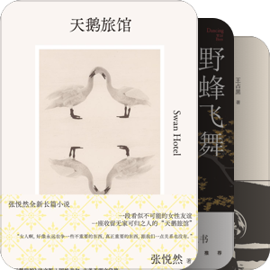 2025宝珀理想国文学奖入围作品