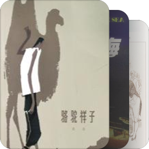 难忘的书香世界
