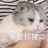 求你动动脑子吧