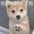 豆友502386792