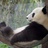 仍是少年