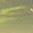 svxco