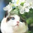 花溪・Memory