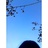 点