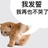 邦迪猫牌创可贴