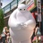 小q先生