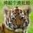 平凡的世界