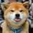 莫赤匪狐