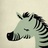 anguily