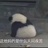 谜的蓝胖子