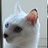 茄子猫