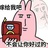 新垣结蕾