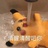 满分悲观主义者