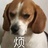 伊苏林迪守林人