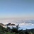 黑布李