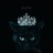 柴郡猫