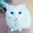 两只卖咖啡的猫