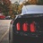 Wayne5