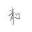 青竹