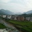 细细粒
