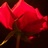hedone