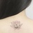 山药君