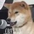 冰与火