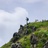 GoHiking北极猫