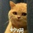 创业的土豆君