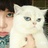 我的猫呢、