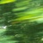 少管我