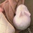 momoware