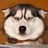 D先生