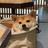 嘻嘻