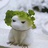 vicky猪豆豆