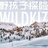 野孩子wildkiz