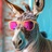 okeydonkey