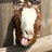 kct-