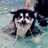 Skye